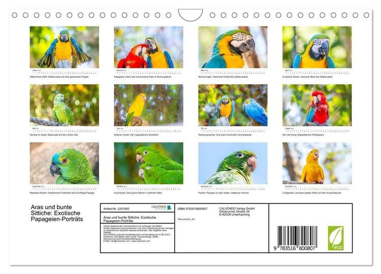 Produktbild: Aras und bunte Sittiche: Exotische Papageien-Portr&auml;ts (Wandkalender 2027 DIN A4 quer), CALVENDO Monatskalender