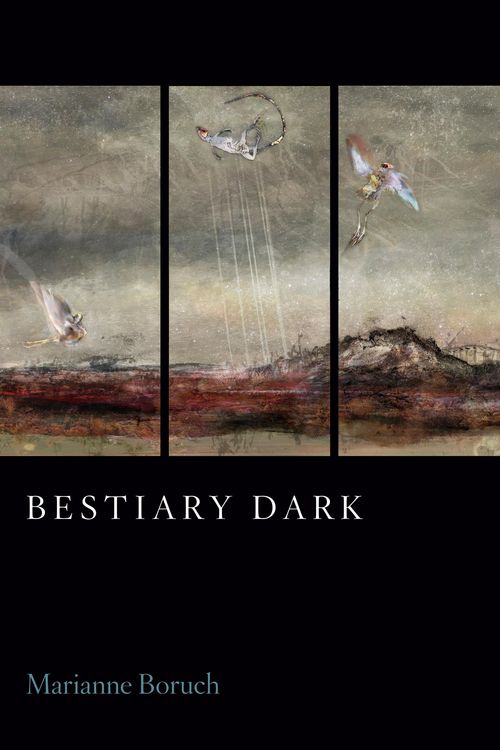 Produktbild: Bestiary Dark