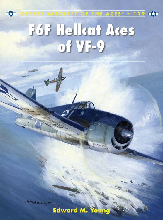 Produktbild: F6F Hellcat Aces of VF-9