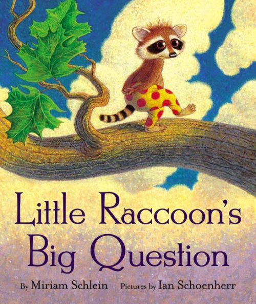 Produktbild: Little Raccoons Big Ques