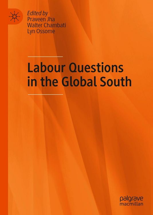 Produktbild: Labour Questions in the Global South