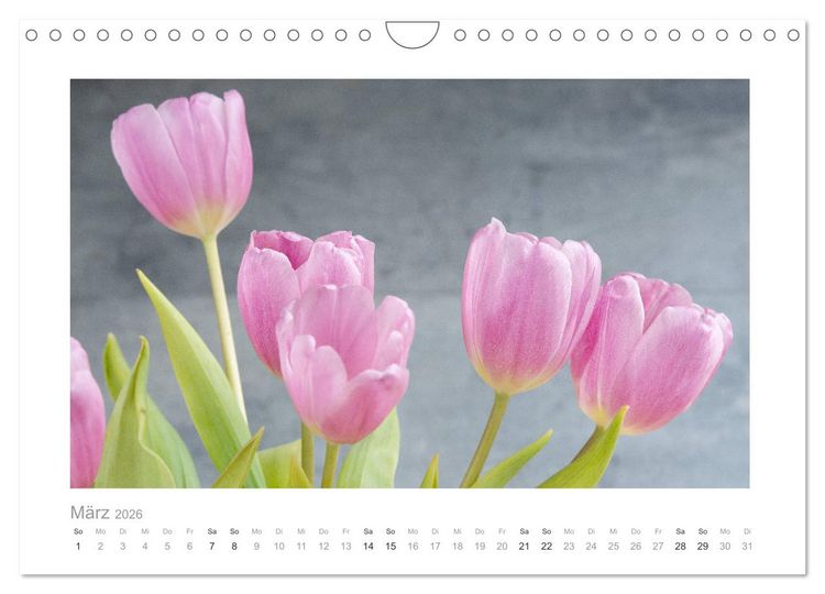 Produktbild: Blumen zart und sch&ouml;n (Wandkalender 2026 DIN A4 quer), CALVENDO Monatskalender