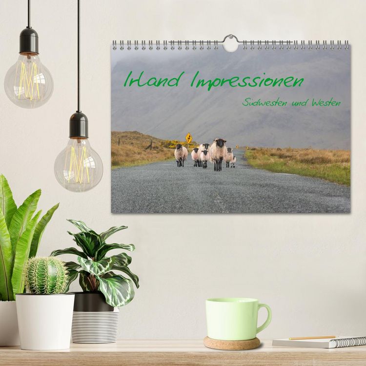 Produktbild: Irland Impressionen S&uuml;dwesten und Westen (Wandkalender 2026 DIN A4 quer), CALVENDO Monatskalender