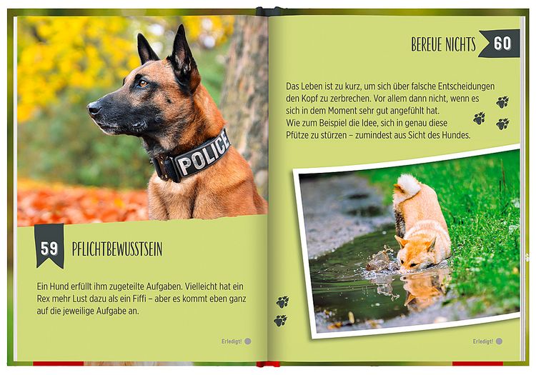 Produktbild: 100 Dinge, die man von einem Hund lernen kann
