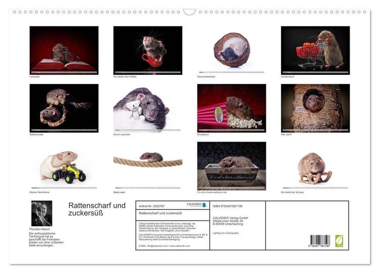 Produktbild: Rattenscharf und zuckers&uuml;&szlig; (Wandkalender 2026 DIN A2 quer), CALVENDO Monatskalender