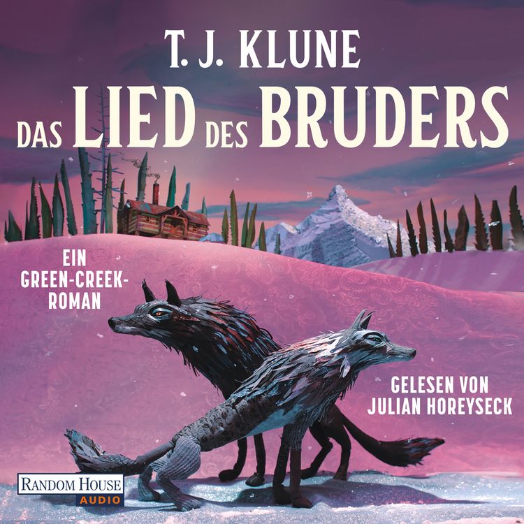 Produktbild: Das Lied des Bruders