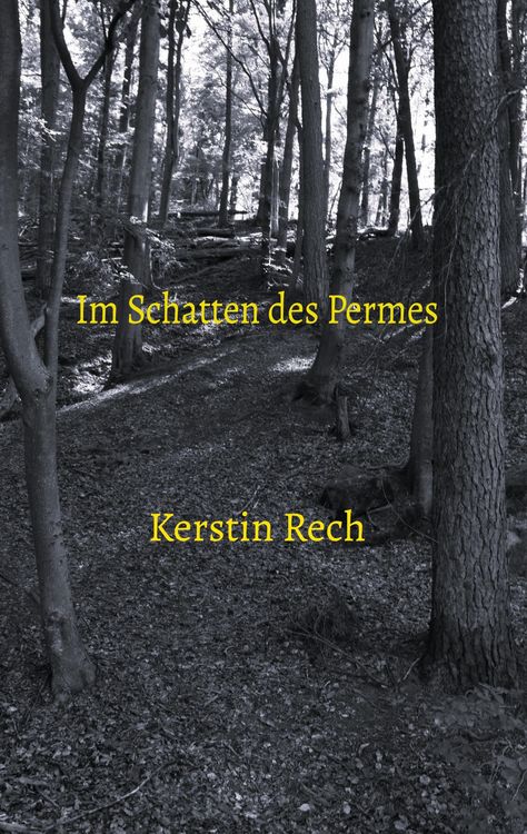 Produktbild: Im Schatten des Permes