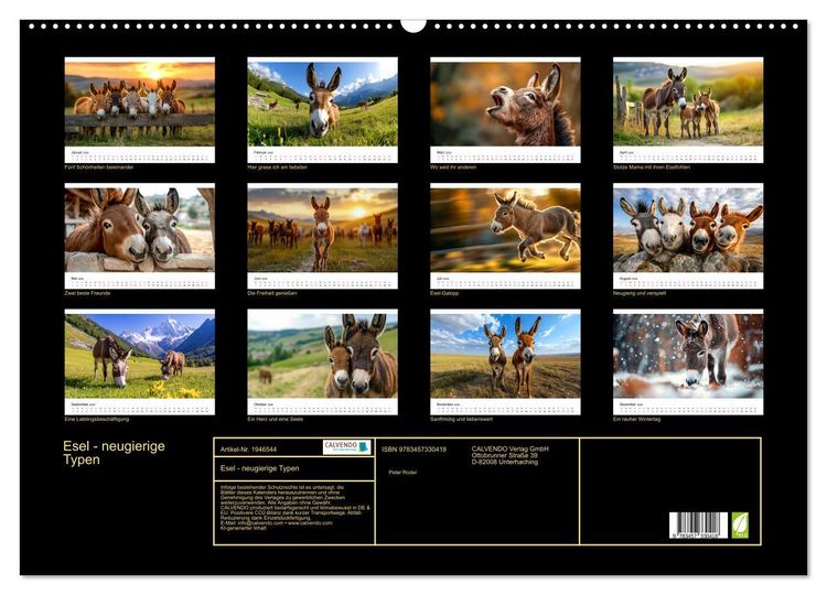 Produktbild: Esel - neugierige Typen (Wandkalender 2026 DIN A2 quer), CALVENDO Monatskalender