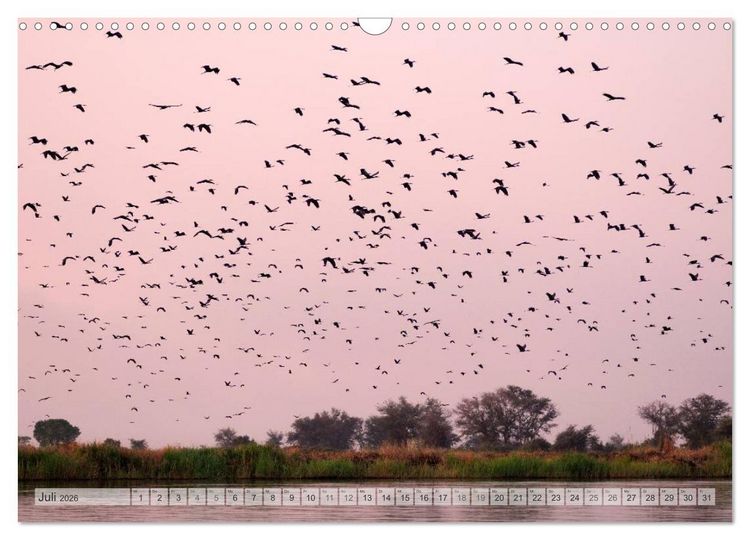 Produktbild: NAMIBIA Christian Heeb (Wandkalender 2026 DIN A3 quer), CALVENDO Monatskalender