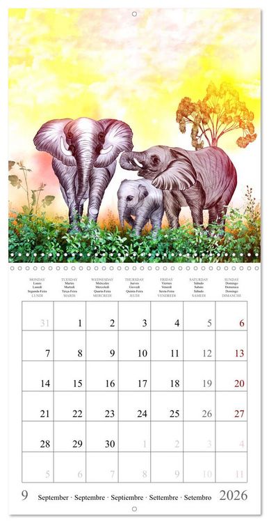 Produktbild: Grands et doux Les &eacute;l&eacute;phants (Calendrier mural carr&eacute; 2026 30x30 cm) Calendrier double avec une page pour vos prises de notes