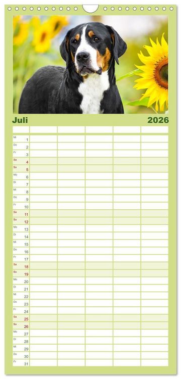 Produktbild: Familienplaner 2026 - Gro&szlig;e Schweizer - Gigantische Sennenhunde mit 5 Spalten (Wandkalender, 21 x 45 cm) CALVENDO