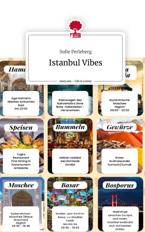 Produktbild: Istanbul Vibes. Life is a Story - story.one