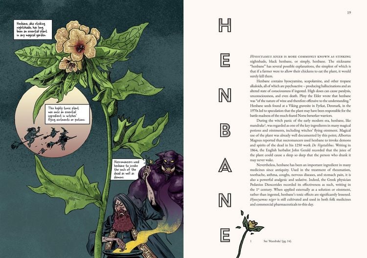 Produktbild: Fascinating Folklore: A Compendium of Comics and Essays