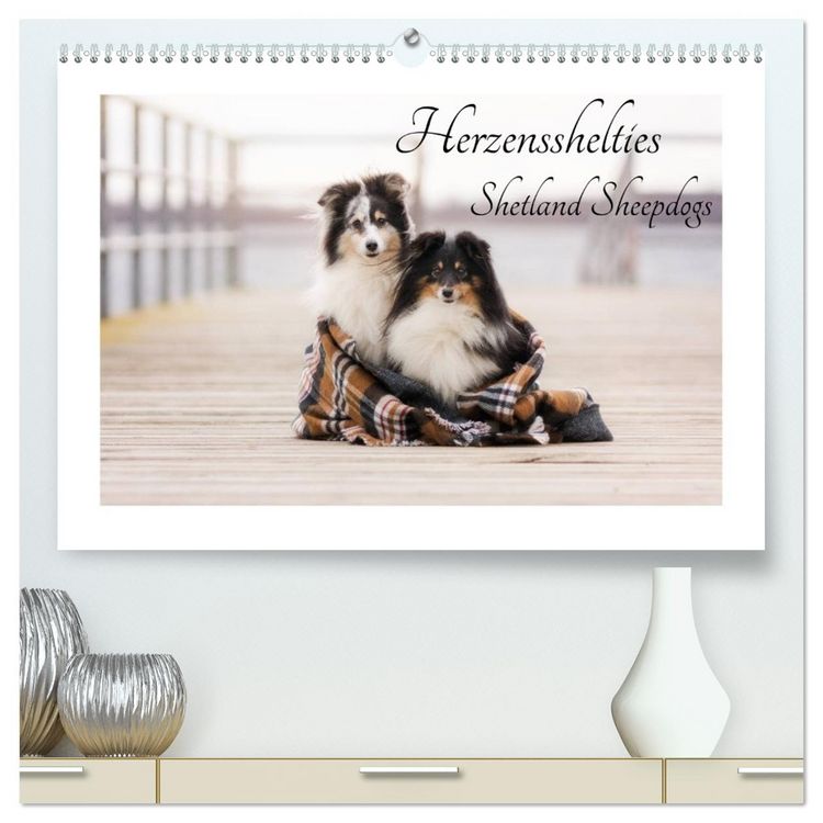 Produktbild: Herzensshelties - Shetland Sheepdogs (hochwertiger Premium Wandkalender 2026 DIN A2 quer), Kunstdruck in Hochglanz