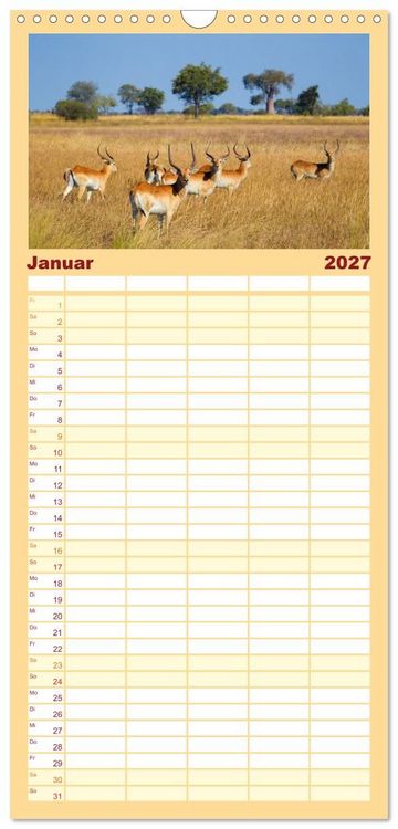 Produktbild: Familienplaner 2027 - Afrika Wildlife-Fotografien mit 5 Spalten (Wandkalender, 21 x 45 cm) CALVENDO