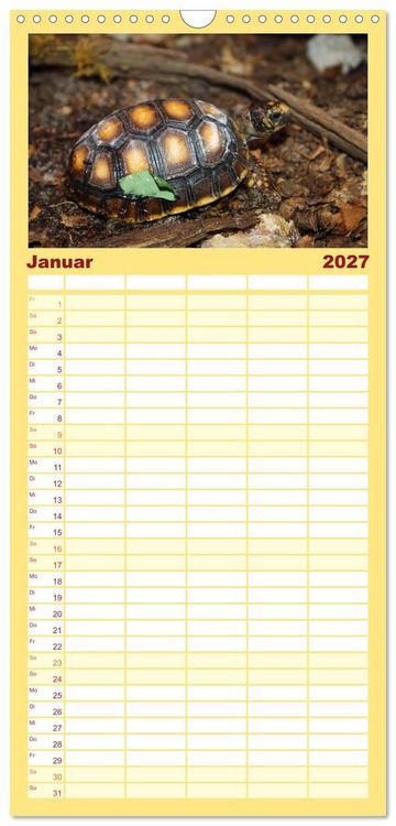 Produktbild: Familienplaner 2027 - Schildkr&ouml;ten - Gepanzerte Urzeitwesen mit 5 Spalten (Wandkalender, 21 x 45 cm) CALVENDO