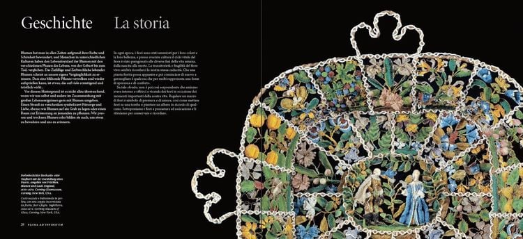 Produktbild: Flora ad infinitum