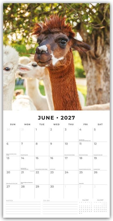 Produktbild: Alpacas &ndash; Alpakas 2027 &ndash; 16-Monatskalender