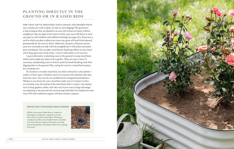 Produktbild: Grace Rose Farm: Garden Roses