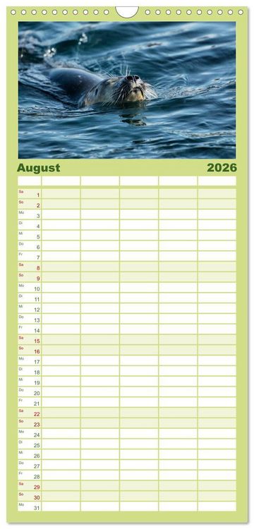 Produktbild: Familienplaner 2026 - Traumziel D&auml;nemark mit 5 Spalten (Wandkalender, 21 x 45 cm) CALVENDO