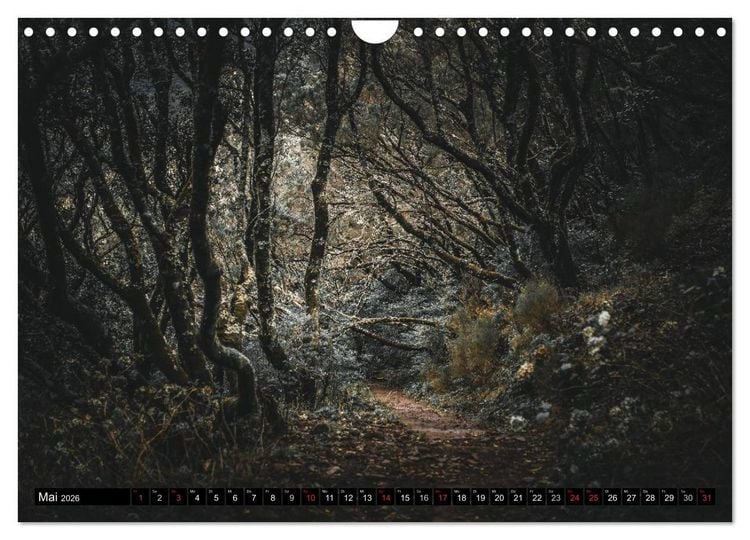 Produktbild: Madeira - Eine Perle des Atlantiks (Wandkalender 2026 DIN A4 quer), CALVENDO Monatskalender