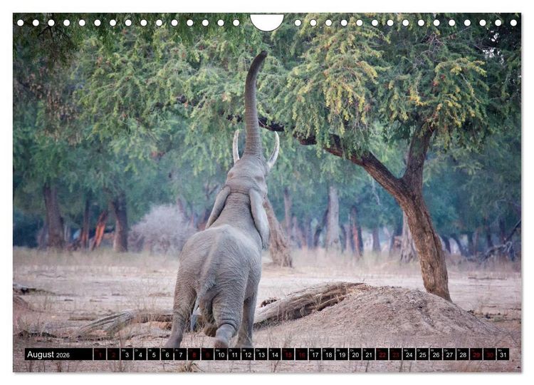 Produktbild: Faszination Simbabwe (Wandkalender 2026 DIN A4 quer), CALVENDO Monatskalender