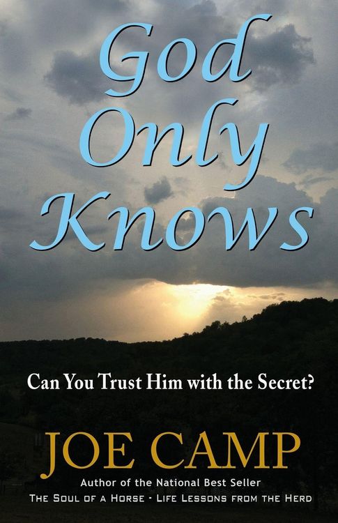 Produktbild: The God Only Knows