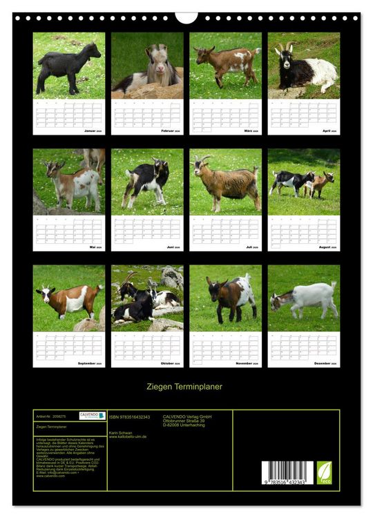 Produktbild: Ziegen Terminplaner (Wandkalender 2026 DIN A3 hoch), CALVENDO Monatskalender
