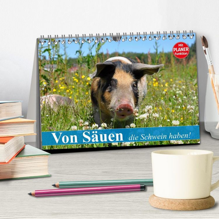 Produktbild: Von S&auml;uen die Schwein haben! (Tischkalender 2026 DIN A5 quer), CALVENDO Monatskalender