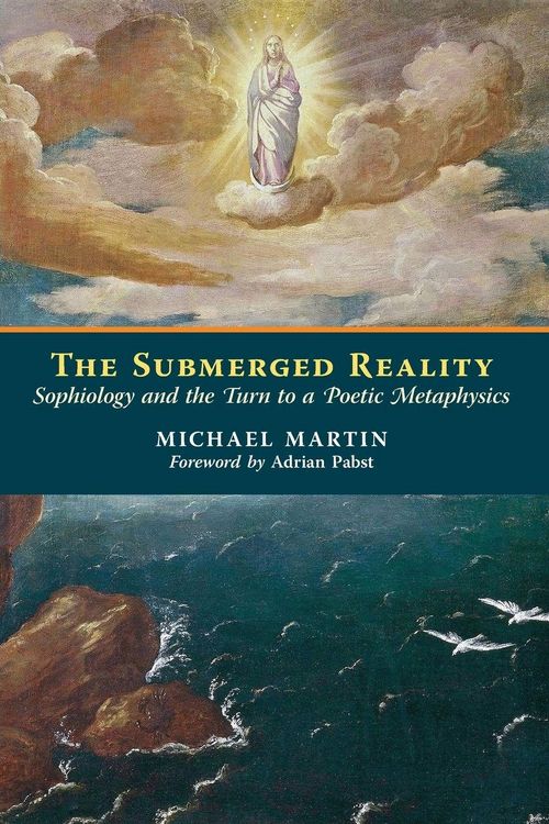 Produktbild: The Submerged Reality