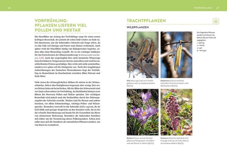 Produktbild: Das Bienenjahr