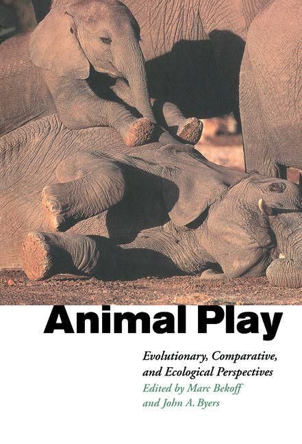 Produktbild: Animal Play