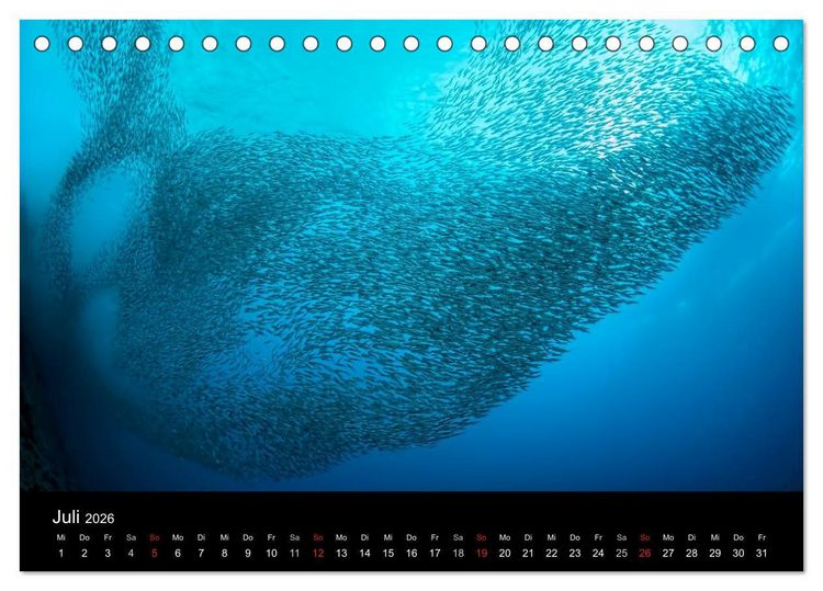 Produktbild: Fischschw&auml;rme (Tischkalender 2026 DIN A5 quer), CALVENDO Monatskalender