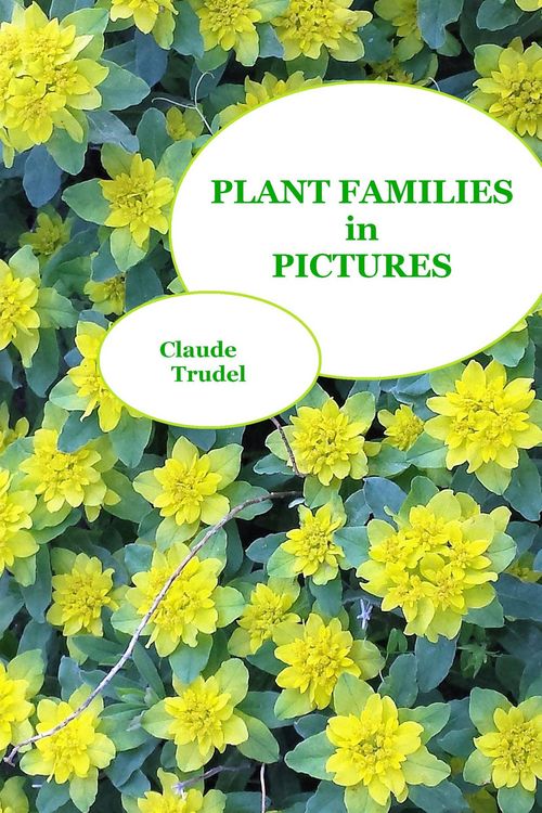 Produktbild: Plant Families in Pictures