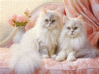 Produktbild: CALVENDO Puzzle Katzen im Pastell-Stil | 2000 Teile Lege-Gr&ouml;&szlig;e 90x67cm Foto-Puzzle f&uuml;r gl&uuml;ckliche Stunden