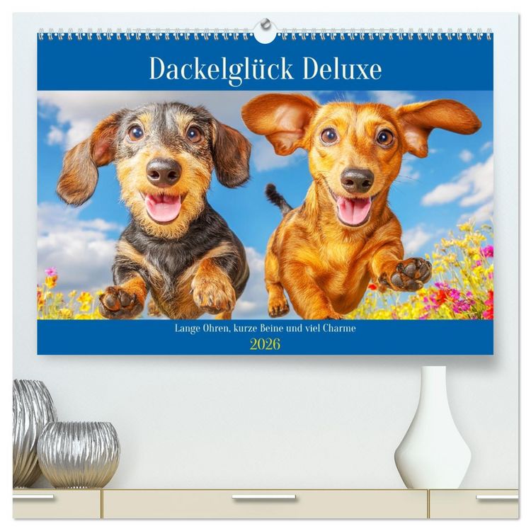Produktbild: Dackelgl&uuml;ck Deluxe. Lange Ohren, kurze Beine und viel Charme (hochwertiger Premium Wandkalender 2026 DIN A2 quer), Kunstdruck in Hochglanz