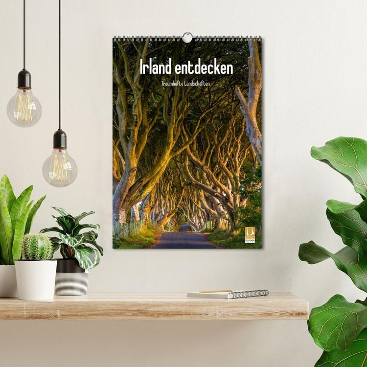 Produktbild: Irland entdecken (Wandkalender 2026 DIN A3 hoch), CALVENDO Monatskalender