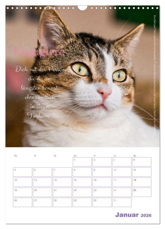 Produktbild: Tierische Challenges: F&uuml;r mehr Bewusstsein und mehr Tierschutz (Wandkalender 2026 DIN A3 hoch), CALVENDO Monatskalender