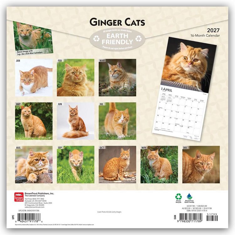Produktbild: Ginger Cats &ndash; Gingerkatzen &ndash; Rote Katzen 2027 &ndash; 16-Monatskalender