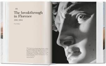 Produktbild: Michelangelo. The Complete Paintings, Sculptures and Arch.