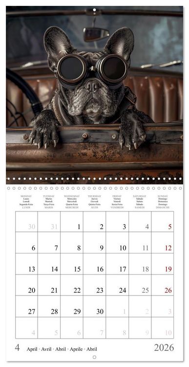 Produktbild: French Bulldogs (Wall Calendar 2026 12 &times; 12 Inch) CALVENDO 12 Month Wall Calendar