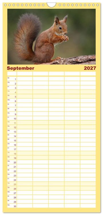 Produktbild: Familienplaner 2027 - Eichh&ouml;rnchen in zauberhaften Posen mit 5 Spalten (Wandkalender, 21 x 45 cm) CALVENDO