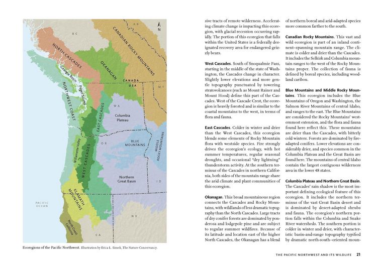 Produktbild: Wildlife of the Pacific Northwest
