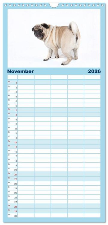 Produktbild: Familienplaner 2026 - Mops - unwiderstehlich und charmant mit 5 Spalten (Wandkalender, 21 x 45 cm) CALVENDO