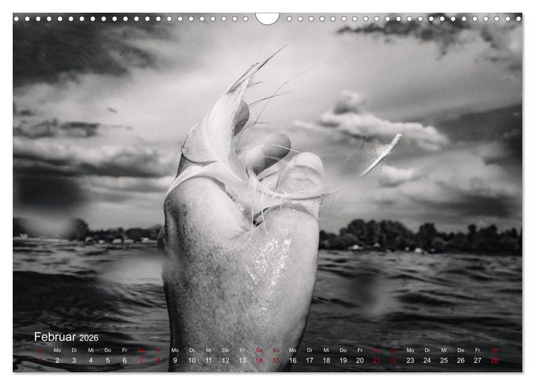 Produktbild: FREIWASSERLUST (Wandkalender 2026 DIN A3 quer), CALVENDO Monatskalender