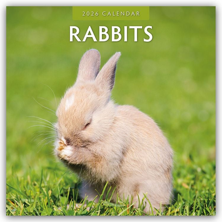 Produktbild: Rabbits – Hasen – Kaninchen 2026 – 16-Monatskalender