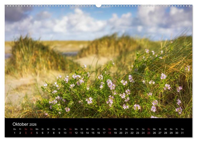 Produktbild: Fan&oslash; - Meine Insel (Wandkalender 2026 DIN A2 quer), CALVENDO Monatskalender