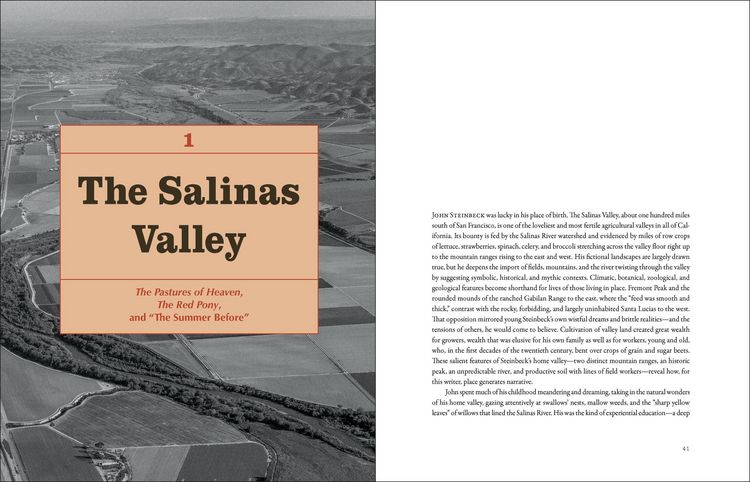 Produktbild: Steinbeck's Landscapes