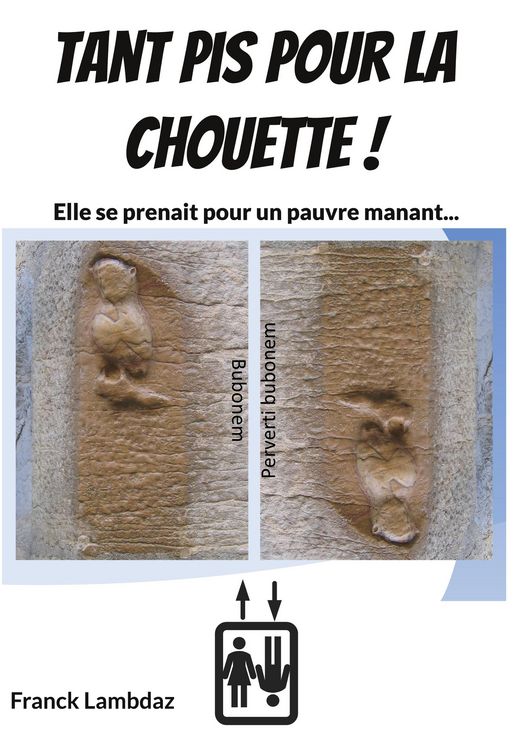 Produktbild: Tant pis pour la chouette !