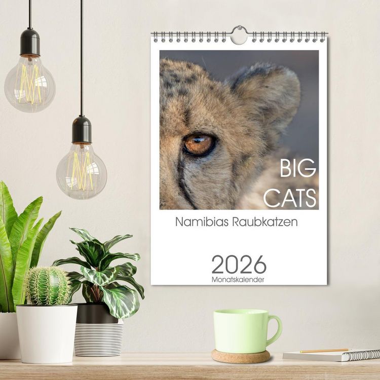 Produktbild: BIG CATS - Namibias Raubkatzen (Wandkalender 2026 DIN A4 hoch), CALVENDO Monatskalender